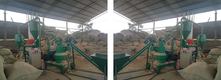 性生生活大片免费看视频