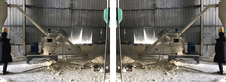 性生生活大片免费看视频