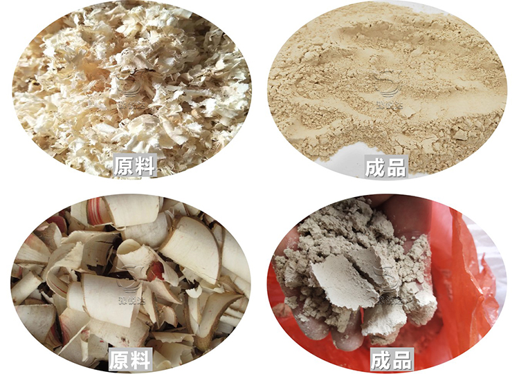 性生生活大片免费看视频