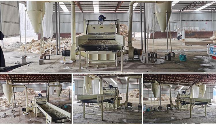 性生生活大片免费看视频