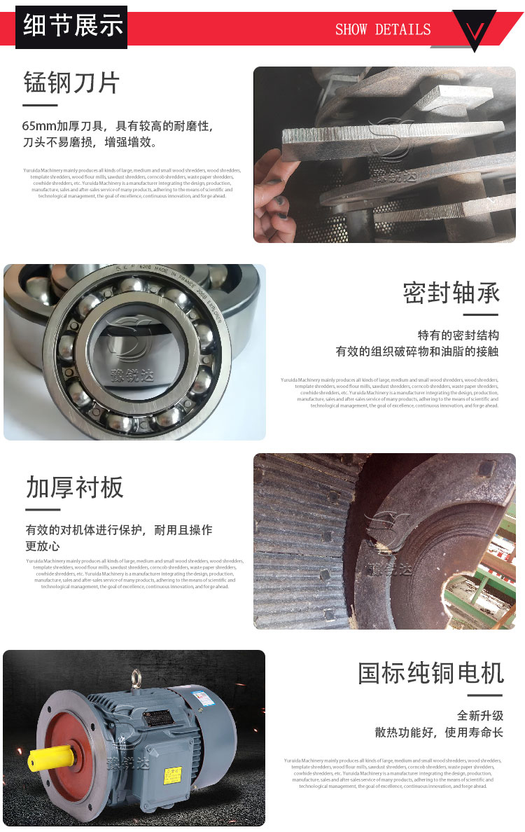 性生生活大片免费看视频