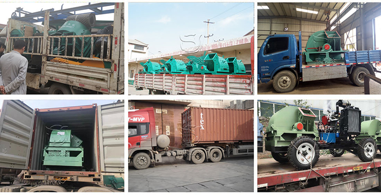 性生生活大片免费看视频