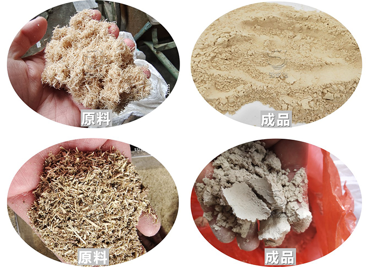 性生生活大片免费看视频