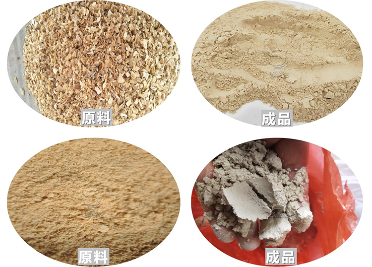 性生生活大片免费看视频