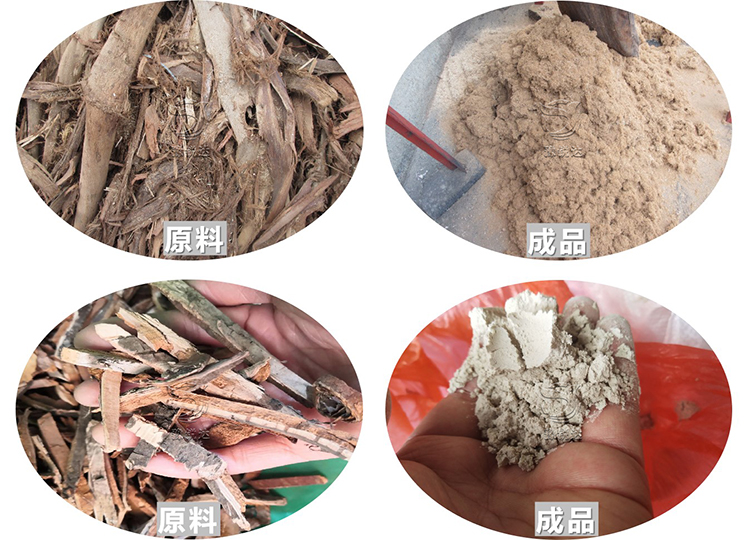 性生生活大片免费看视频