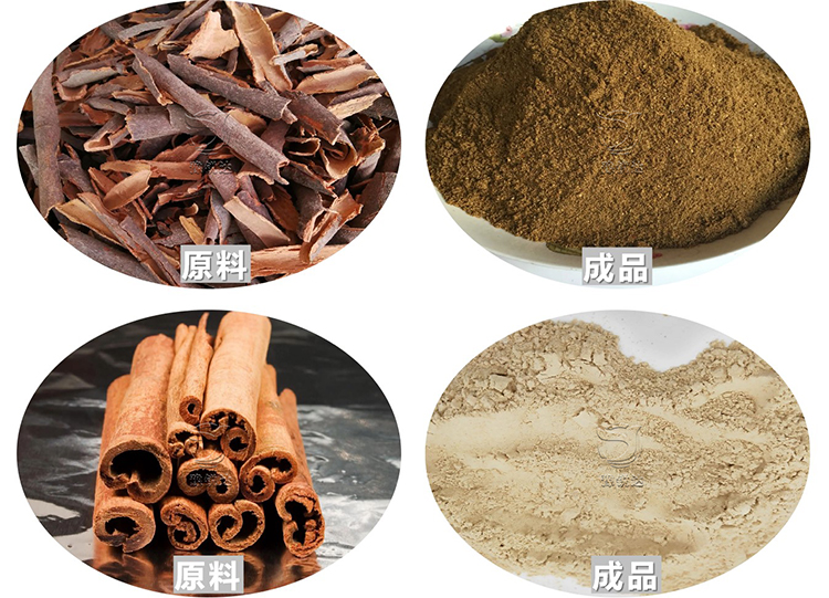 性生生活大片免费看视频