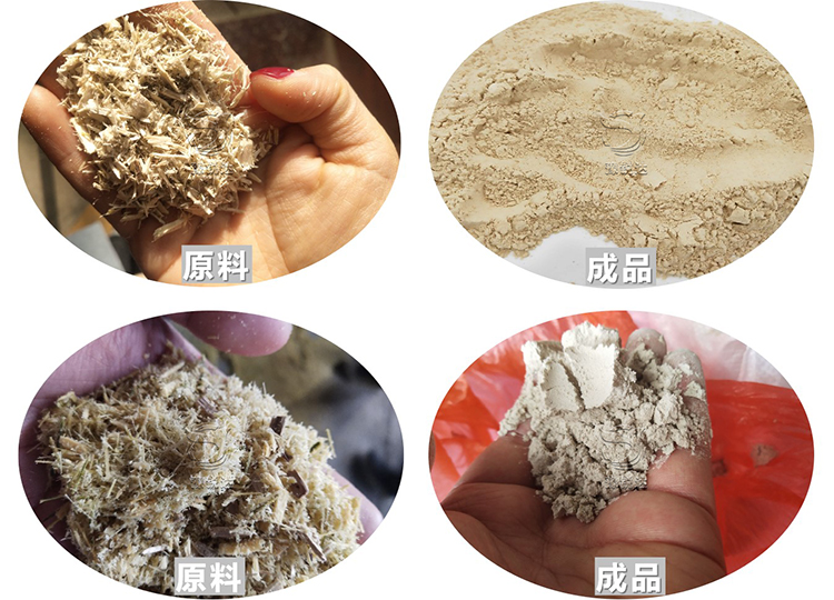 性生生活大片免费看视频