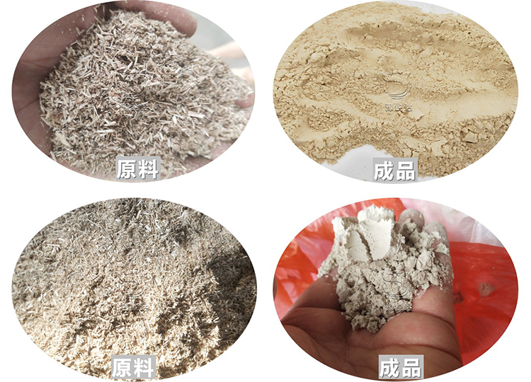 性生生活大片免费看视频