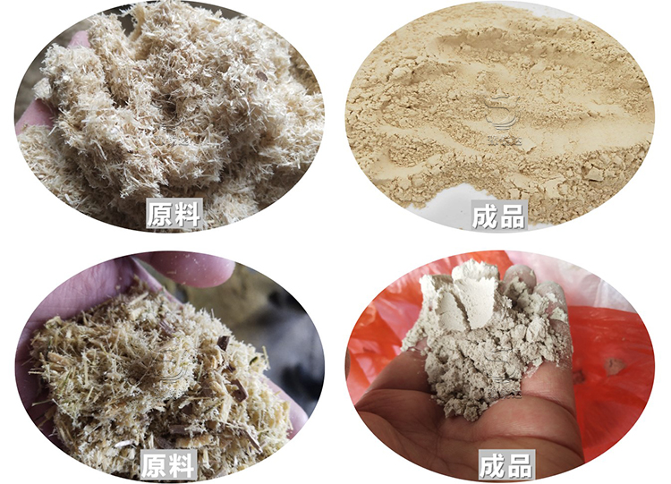 性生生活大片免费看视频