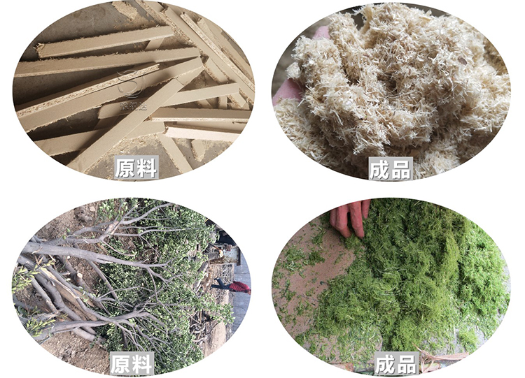 性生生活大片免费看视频