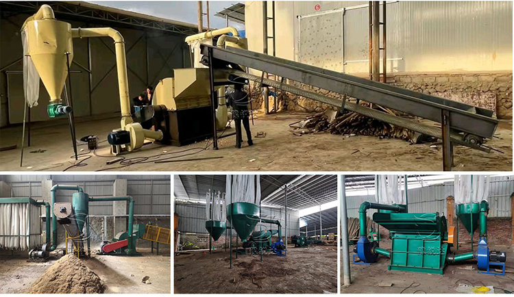 性生生活大片免费看视频