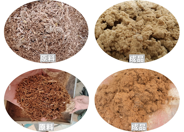 性生生活大片免费看视频