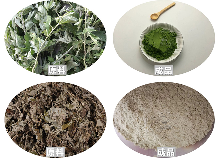 性生生活大片免费看视频