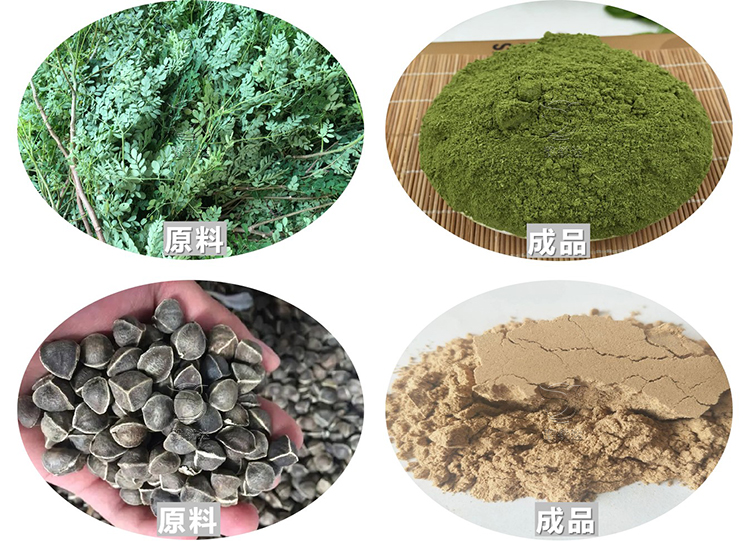 性生生活大片免费看视频