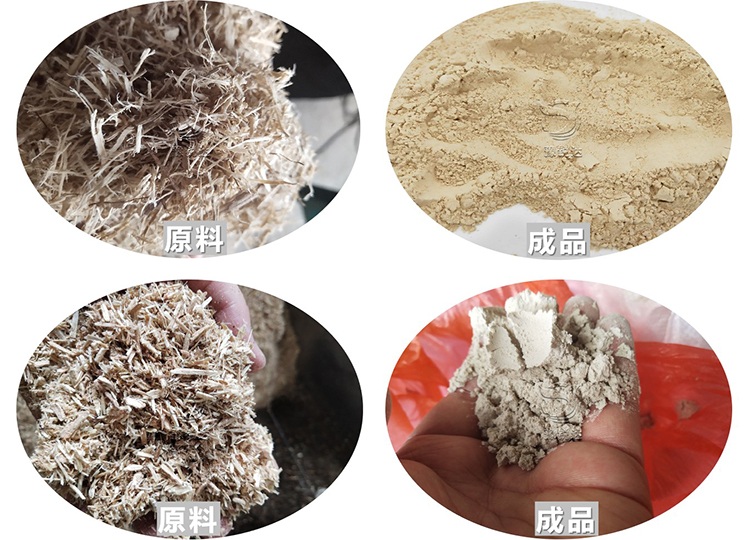 性生生活大片免费看视频