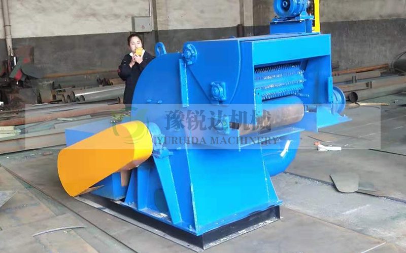 性生生活大片免费看视频