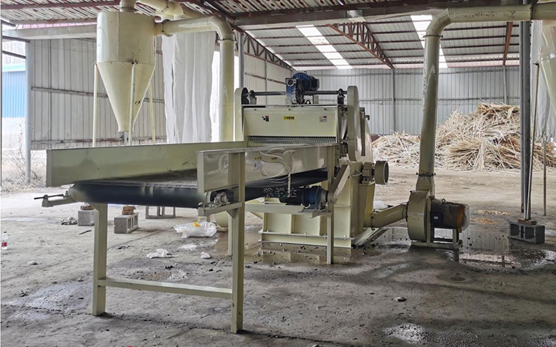 性生生活大片免费看视频