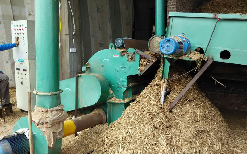 性生生活大片免费看视频