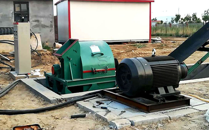 性生生活大片免费看视频