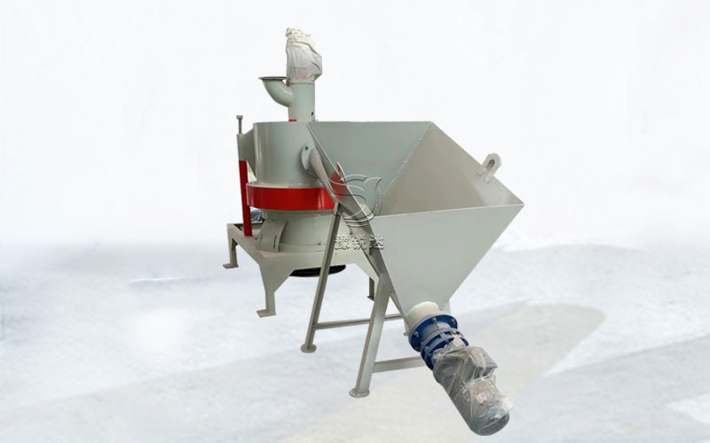 性生生活大片免费看视频