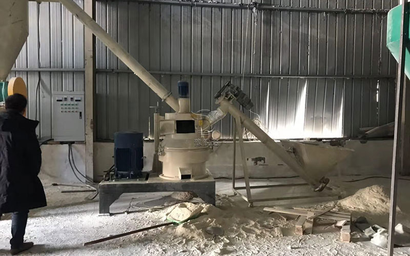 性生生活大片免费看视频