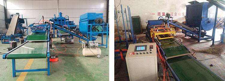 性生生活大片免费看视频